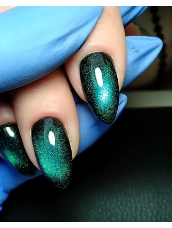 Kodi 5d gel polish №05