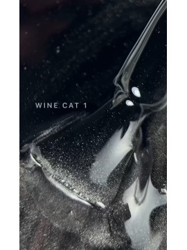 Saga Wine Cat Eye Gel Polish №01 ,10 ml 